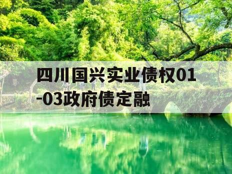 四川国兴实业债权01-03政府债定融