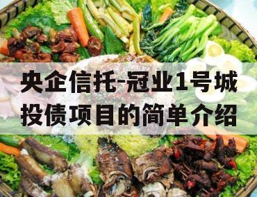 央企信托-冠业1号城投债项目的简单介绍