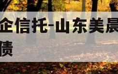 央企信托-山东美晨公司债