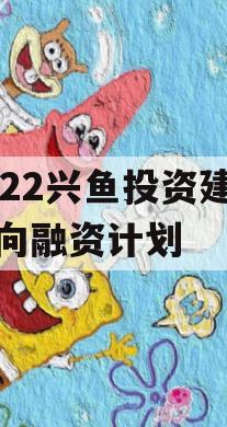 2022兴鱼投资建设定向融资计划