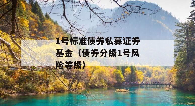 1号标准债券私募证券基金（债券分级1号风险等级）