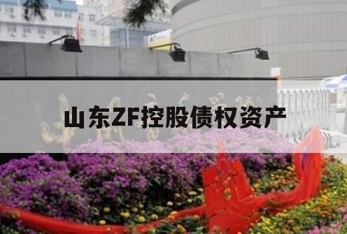 山东ZF控股债权资产