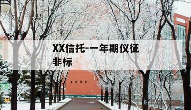 XX信托-一年期仪征非标