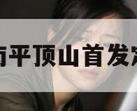 河南平顶山首发定融