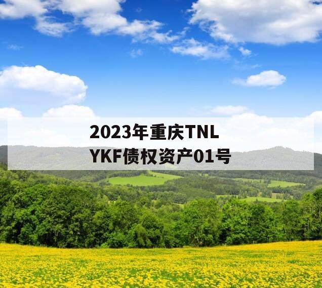2023年重庆TNLYKF债权资产01号