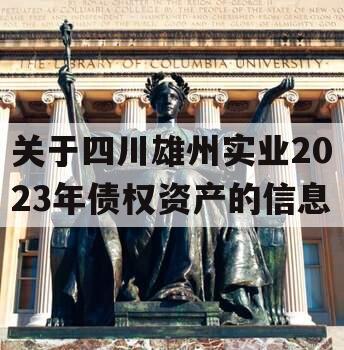 关于四川雄州实业2023年债权资产的信息