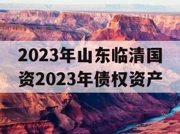 2023年山东临清国资2023年债权资产