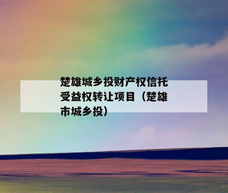 楚雄城乡投财产权信托受益权转让项目（楚雄市城乡投）