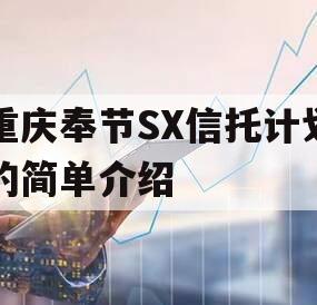 重庆奉节SX信托计划的简单介绍