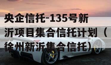 央企信托-135号新沂项目集合信托计划（徐州新沂集合信托）