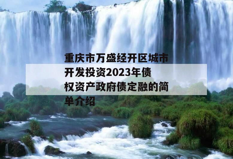 重庆市万盛经开区城市开发投资2023年债权资产政府债定融的简单介绍