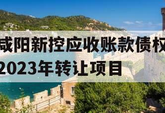 咸阳新控应收账款债权2023年转让项目 咸阳新控应收账款债权2023年转让项目