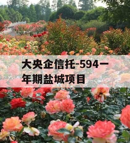 大央企信托-594一年期盐城项目