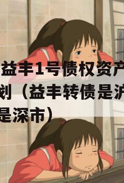 DZ益丰1号债权资产计划（益丰转债是沪市还是深市）