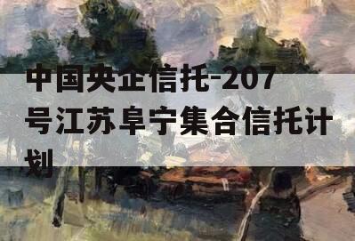 中国央企信托-207号江苏阜宁集合信托计划