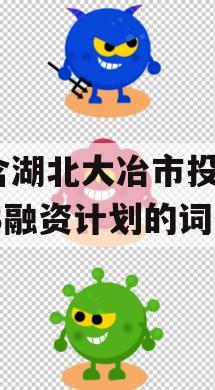 包含湖北大冶市投资2023融资计划的词条