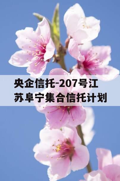 央企信托-207号江苏阜宁集合信托计划