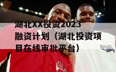 湖北XX投资2023融资计划（湖北投资项目在线审批平台）