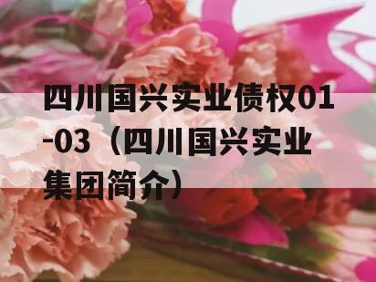 四川国兴实业债权01-03（四川国兴实业集团简介）