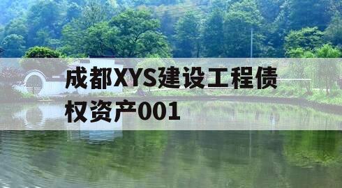 成都XYS建设工程债权资产001