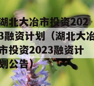 湖北大冶市投资2023融资计划（湖北大冶市投资2023融资计划公告）