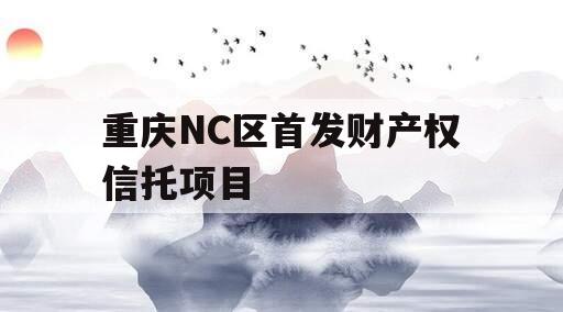 重庆NC区首发财产权信托项目