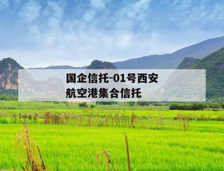 国企信托-01号西安航空港集合信托