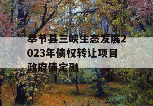 奉节县三峡生态发展2023年债权转让项目政府债定融