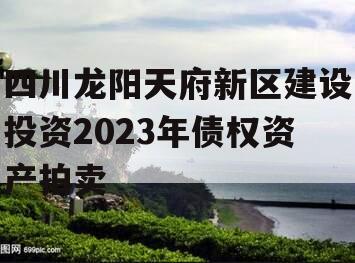 四川龙阳天府新区建设投资2023年债权资产拍卖