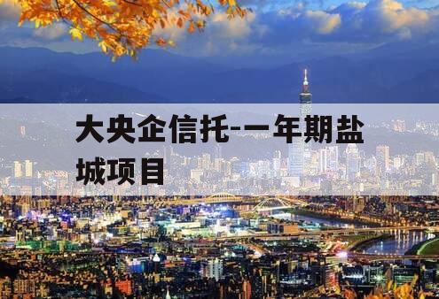 大央企信托-一年期盐城项目
