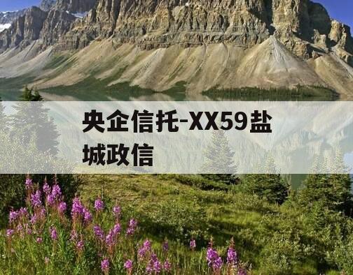 央企信托-XX59盐城政信