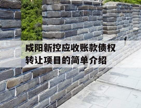 咸阳新控应收账款债权转让项目的简单介绍
