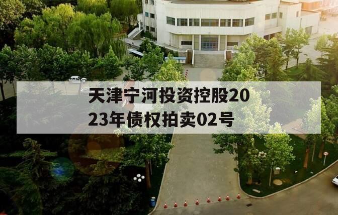 天津宁河投资控股2023年债权拍卖02号 天津宁河投资控股2023年债权拍卖02号