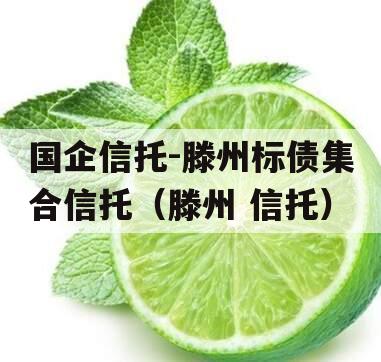 国企信托-滕州标债集合信托（滕州 信托）