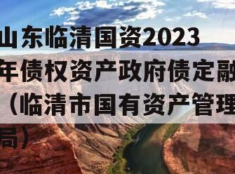 山东临清国资2023年债权资产政府债定融（临清市国有资产管理局）