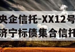 央企信托-XX12号济宁标债集合信托