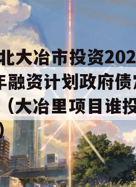 湖北大冶市投资2023年融资计划政府债定融（大冶里项目谁投资的）