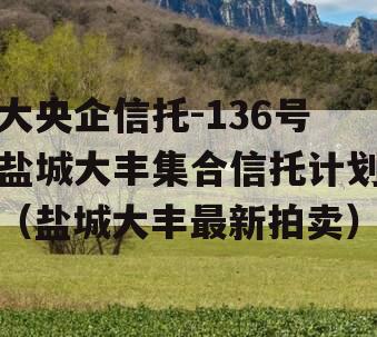 大央企信托-136号盐城大丰集合信托计划（盐城大丰最新拍卖）