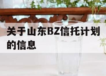 关于山东BZ信托计划的信息
