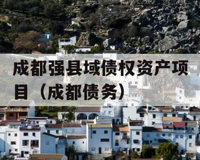 成都强县域债权资产项目（成都债务）