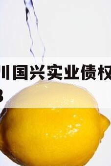 四川国兴实业债权01-03
