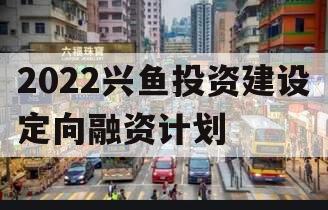 2022兴鱼投资建设定向融资计划 2022兴鱼投资建设定向融资计划