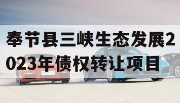 奉节县三峡生态发展2023年债权转让项目