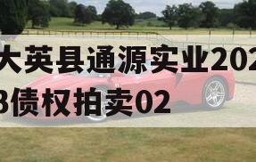 大英县通源实业2023债权拍卖02 大英县通源实业2023债权拍卖02