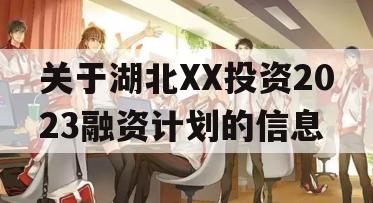 关于湖北XX投资2023融资计划的信息