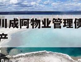 四川成阿物业管理债权资产