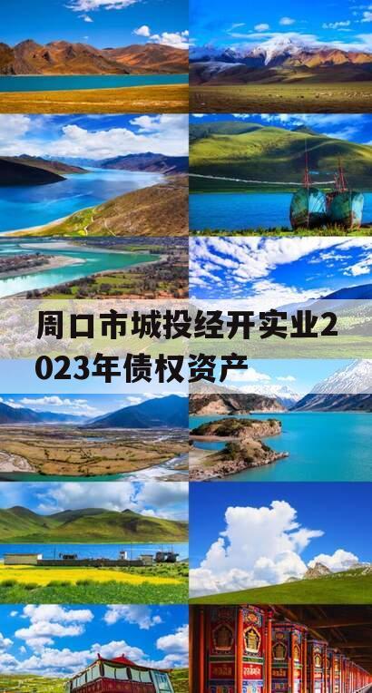 周口市城投经开实业2023年债权资产