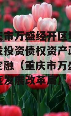 重庆市万盛经开区城市开发投资债权资产政府债定融（重庆市万盛经开区发展改革局）