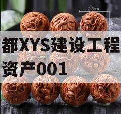 成都XYS建设工程债权资产001