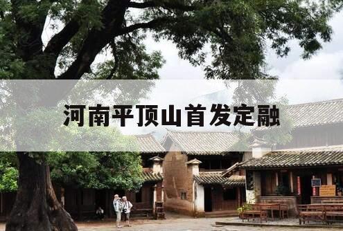 河南平顶山首发定融